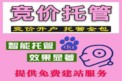 实战派经验分享：百度竞价代理成功案例揭秘